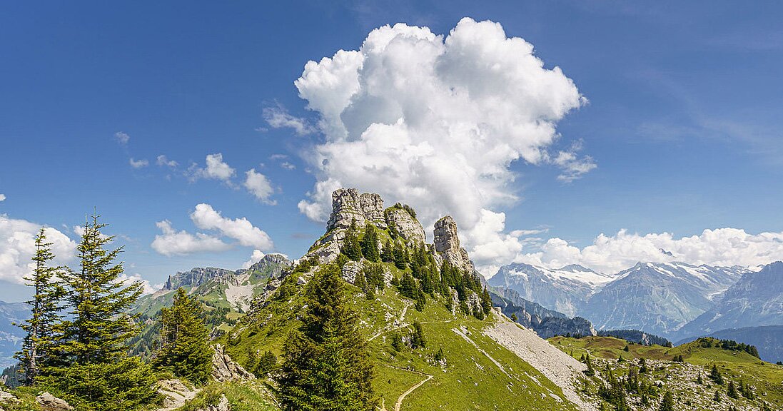 ViaBerna - Etappe 15 Schynige Platte, Oberberghorn