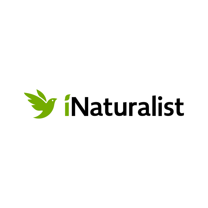 ÍNaturalist