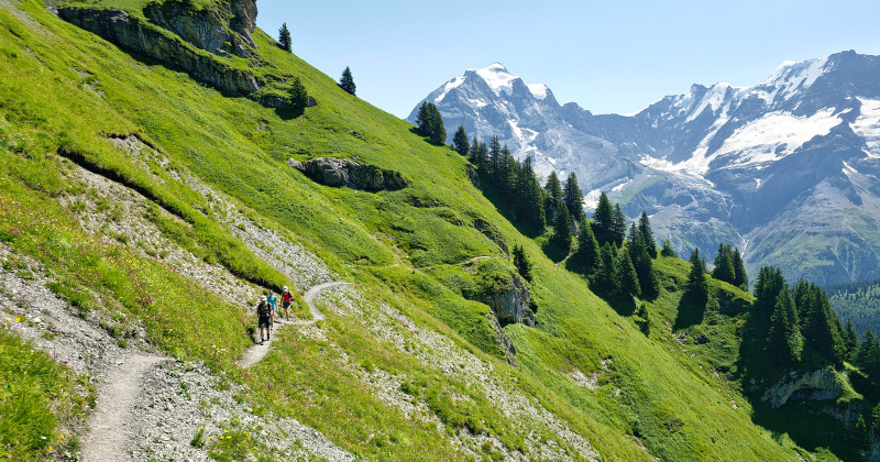 Wandeling Mürren