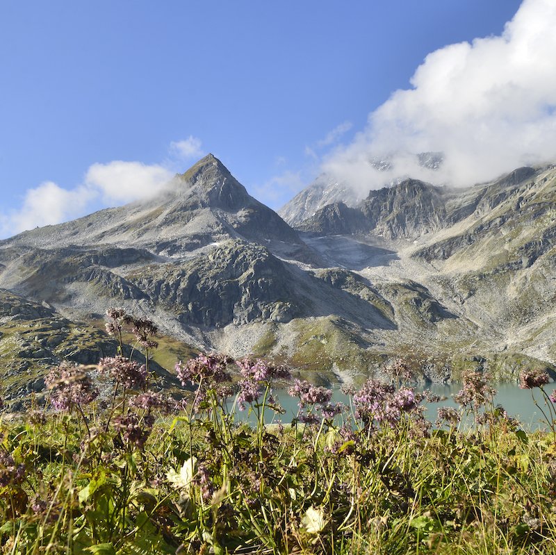 Berggebieden in Oostenrijk