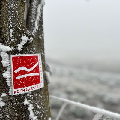 Winterzwerftocht