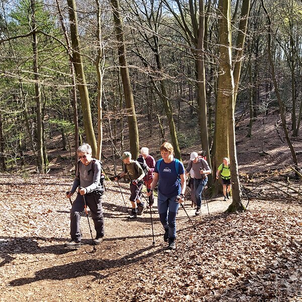 Workshop Wandelen met stokken