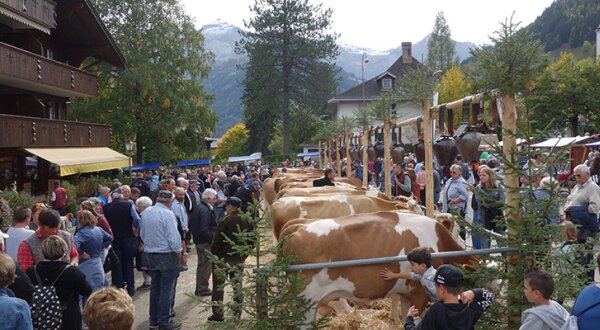 Tradities en ontspanning in het chaletdorp 