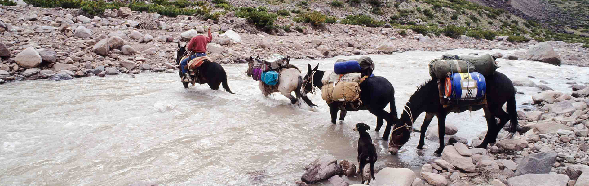 Expeditie Andes
