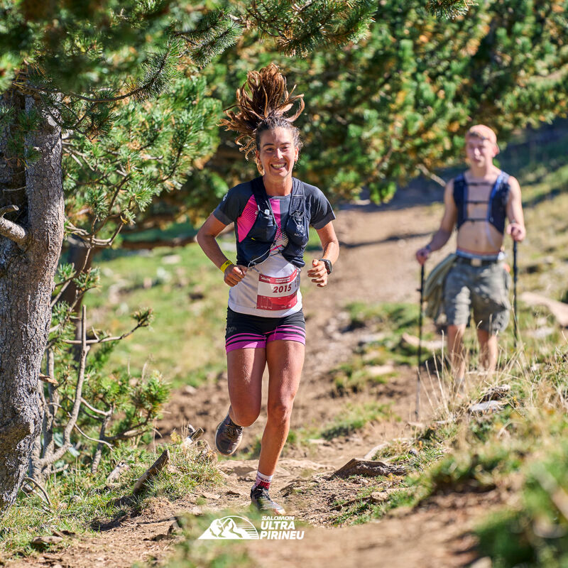 De Pyreneeën kenmerken zich door uitgestrekte dennenbossen. foto, Ferran shoot.
