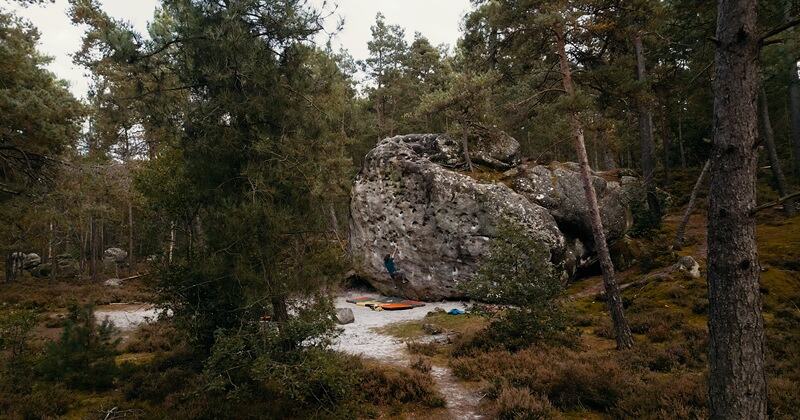 Fontainebleau