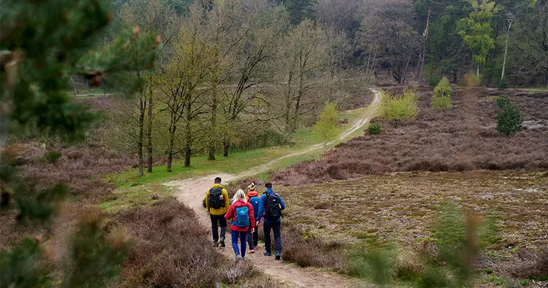 Vijf mensen met rugzakken lopen samen over een onverhard pad door een bosrijk en grasrijk landschap, omringd door bomen en struiken, onder een bewolkte hemel.