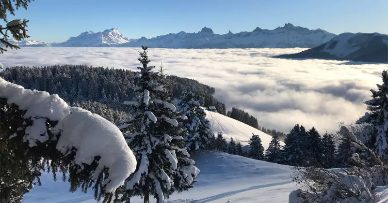 Besneeuwde naaldbomen op een berghelling kijken uit over een dichte wolkenlaag beneden, terwijl in de verte grillige bergtoppen oprijzen tegen een helderblauwe hemel.