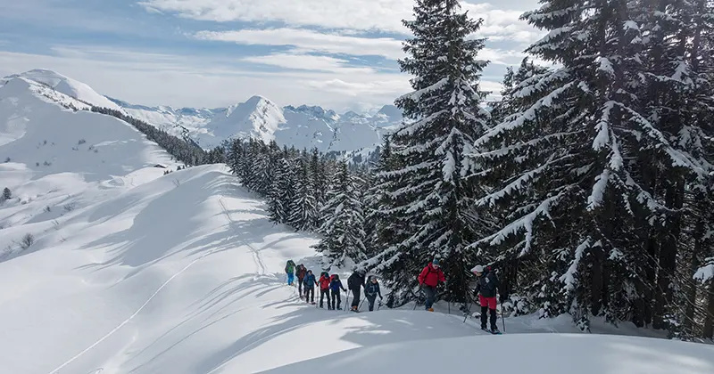 Een groep mensen wandelt bergopwaarts door diepe sneeuw, omringd door hoge, met sneeuw bedekte dennenbomen en bergen in de verte, onder een gedeeltelijk bewolkte hemel.