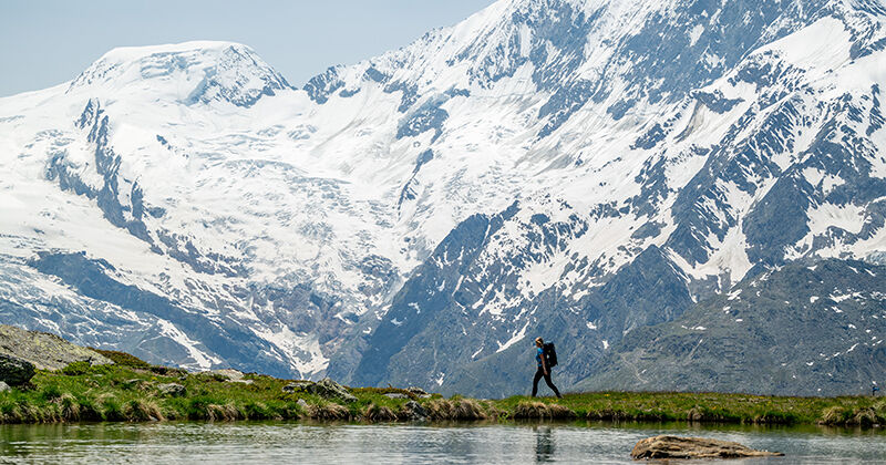 Vertrouwenscontactpersoon