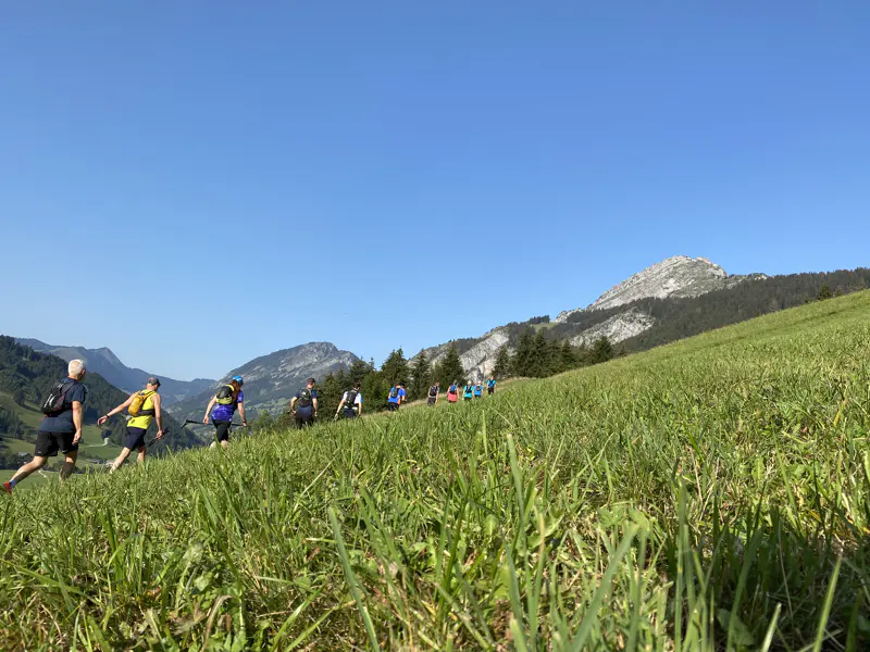 Een groep mensen in sportkleding rent onder een strakblauwe hemel een heuvel op door een grasveld, richting de beboste bergen.