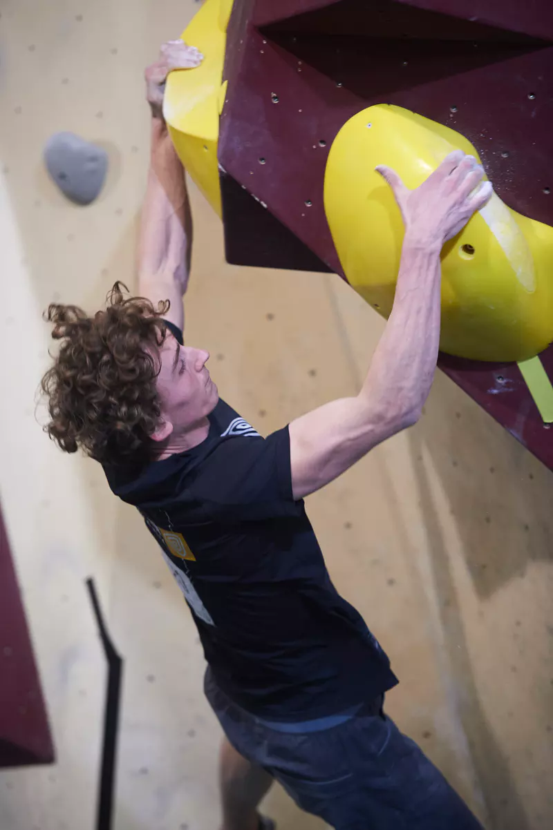 Iemand met krullend haar beklimt een indoor-bouldermuur en houdt zich met beide handen vast aan grote gele en kastanjebruine grepen. Zijn spieren zijn gespannen en hij kijkt geconcentreerd omhoog.